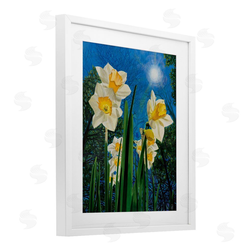 Ann Jasperson Daffodils Under The Sun White Framed Print Under Glass Art