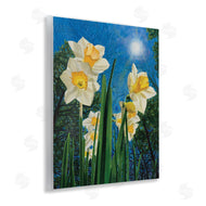 Ann Jasperson | Daffodils Under The Sun