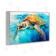 Creative Studio | Graceful Swimmer Tortoise