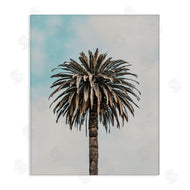 LSR Design Studio | Centric Elegant Palm