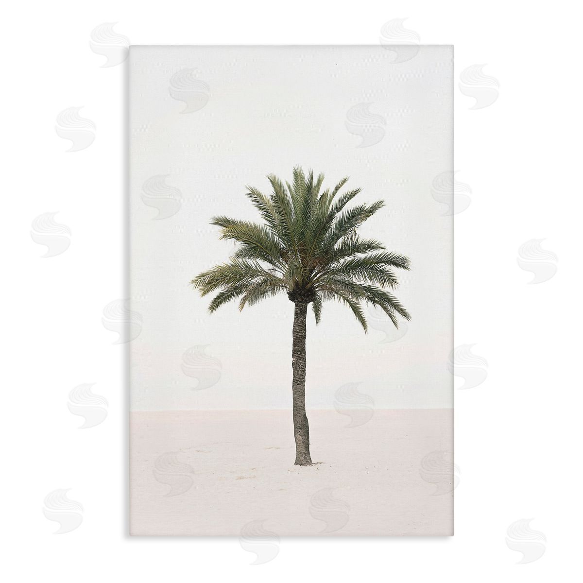 Sisi and Seb Simple Serene Lone Palm Canvas Wall Art Print