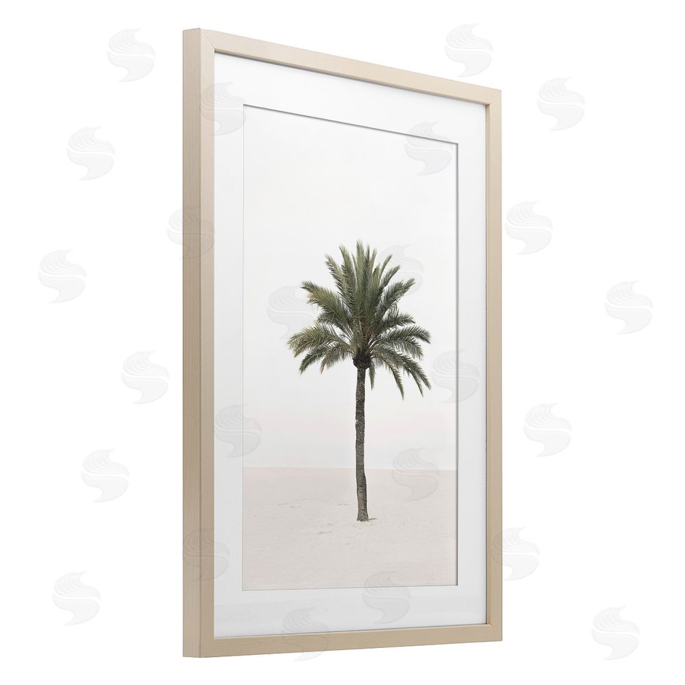 Sisi and Seb Simple Serene Lone Palm Birch Framed Print Under Glass Art
