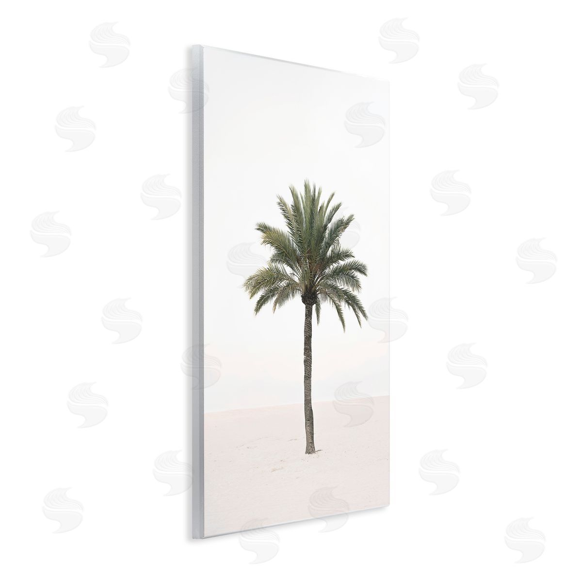 Sisi and Seb Simple Serene Lone Palm Wall Plaque Art Print
