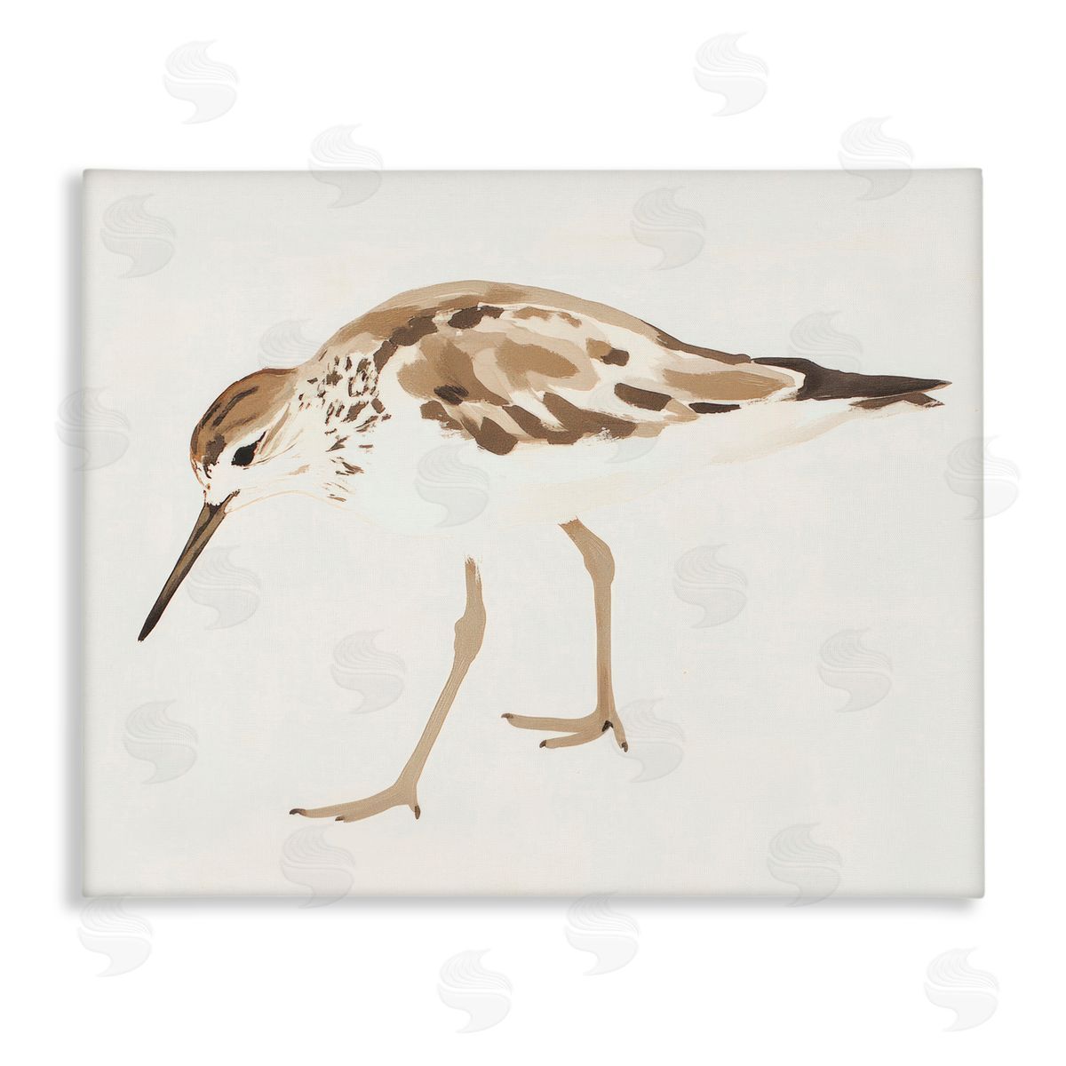 Sisi and Seb Sandpiper Shore Bird Minimalist Canvas Wall Art Print