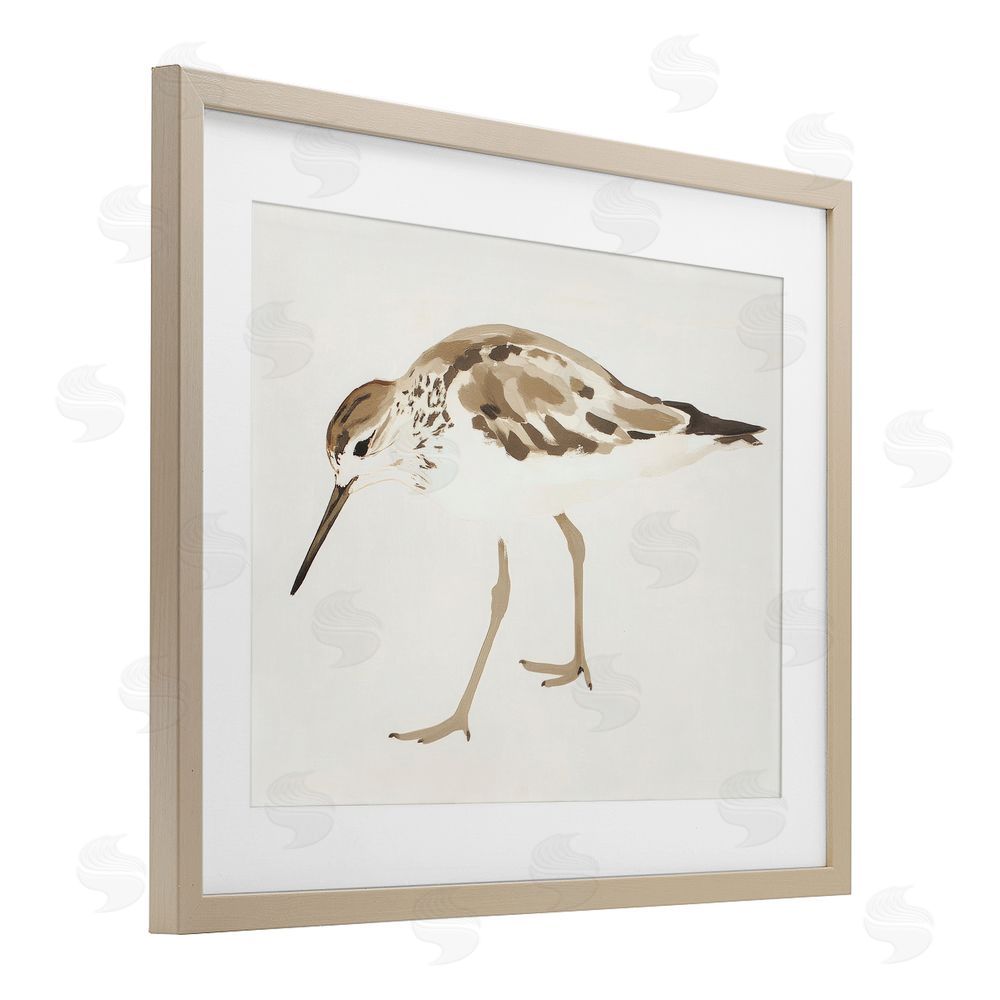Sisi and Seb Sandpiper Shore Bird Minimalist Birch Framed Print Under Glass Art