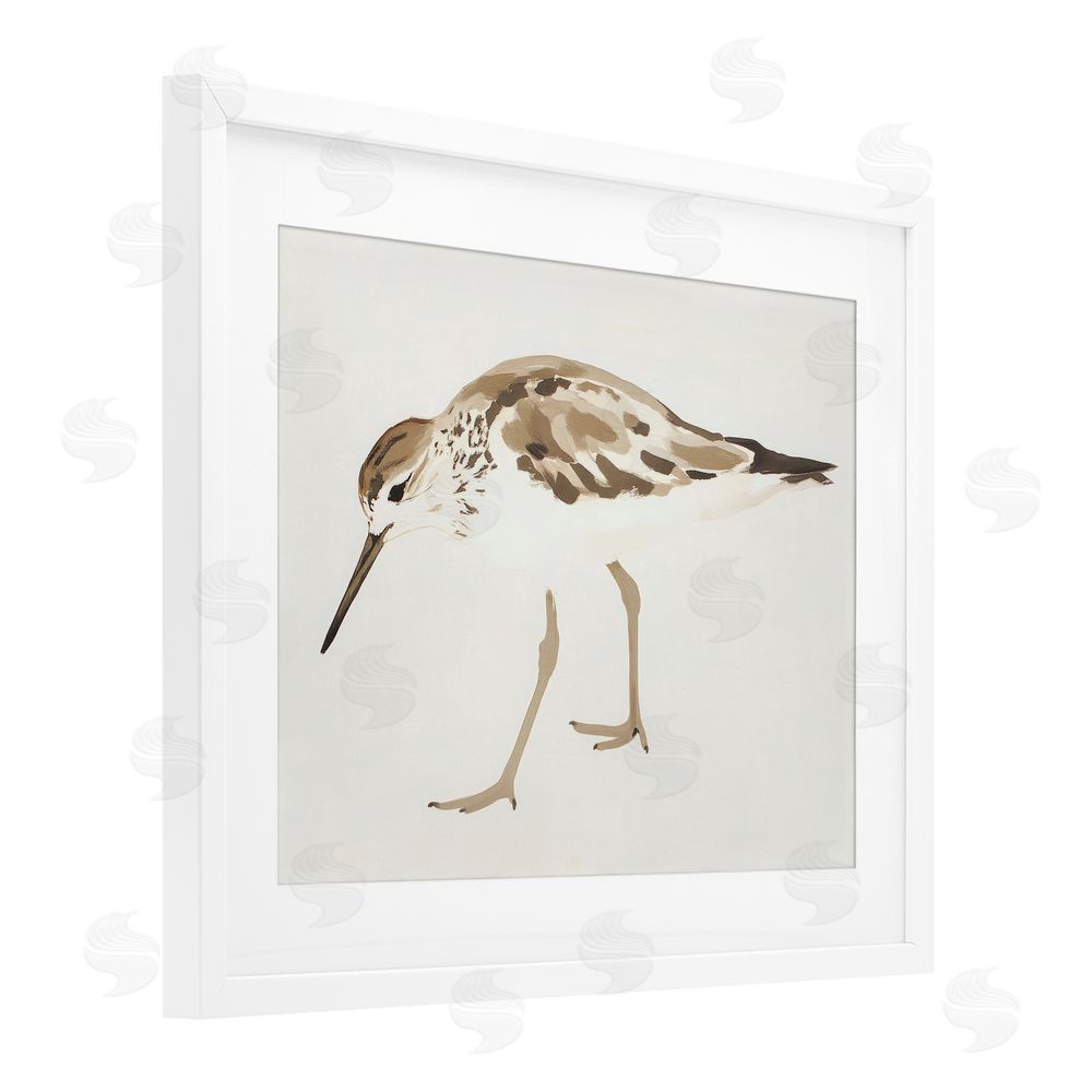 Sisi and Seb Sandpiper Shore Bird Minimalist White Framed Print Under Glass Art