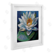 Violeta Vollmer | Peaceful Lotus Flower