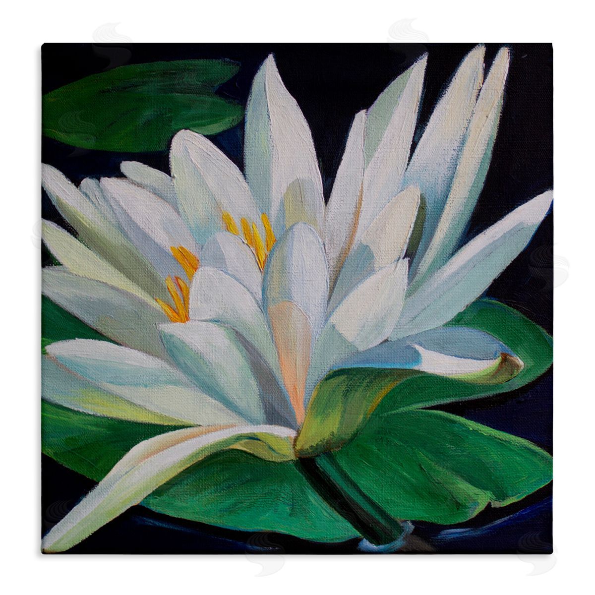 Violeta Vollmer Waterlily Petals on Pond Canvas Wall Art Print
