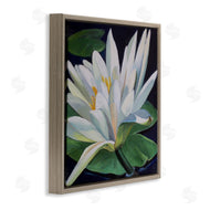 Violeta Vollmer | Waterlily Petals on Pond