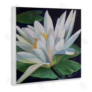 Violeta Vollmer | Waterlily Petals on Pond