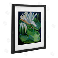 Violeta Vollmer | Waterlilies & Lily Pads