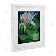 Violeta Vollmer | Waterlilies & Lily Pads
