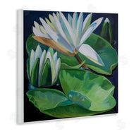 Violeta Vollmer | Waterlilies & Lily Pads