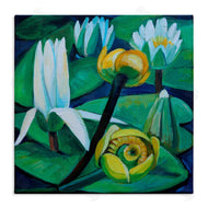 Violeta Vollmer | Yellow & White Pond Lilies