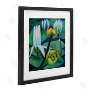Violeta Vollmer | Yellow & White Pond Lilies