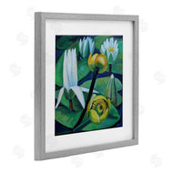 Violeta Vollmer | Yellow & White Pond Lilies