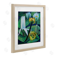 Violeta Vollmer | Yellow & White Pond Lilies