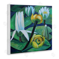 Violeta Vollmer | Yellow & White Pond Lilies