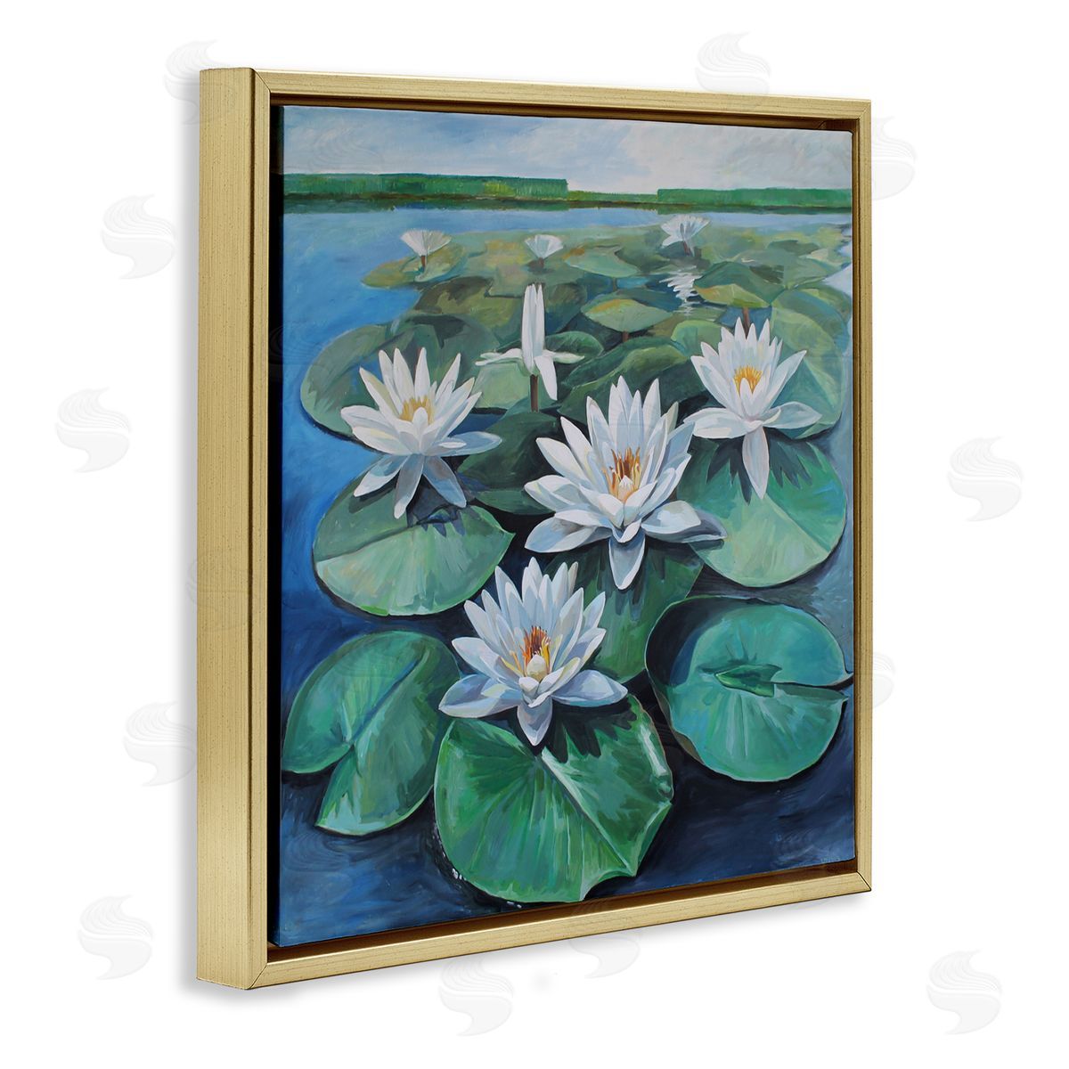 Violeta Vollmer White Pond Lilies Group Canvas Wall Art Print
