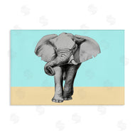 Violeta Vollmer | Sketched Elephant on Blocked Hues