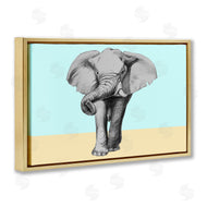 Violeta Vollmer | Sketched Elephant on Blocked Hues