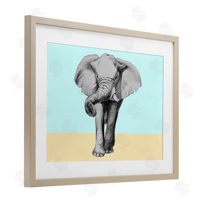Violeta Vollmer | Sketched Elephant on Blocked Hues