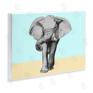Violeta Vollmer | Sketched Elephant on Blocked Hues