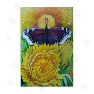 Violeta Vollmer | Butterfly & Yellow Chrysanthemums