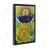 Violeta Vollmer | Butterfly & Yellow Chrysanthemums