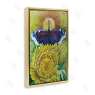 Violeta Vollmer | Butterfly & Yellow Chrysanthemums