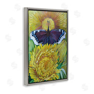 Violeta Vollmer | Butterfly & Yellow Chrysanthemums