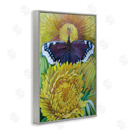Violeta Vollmer | Butterfly & Yellow Chrysanthemums