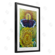 Violeta Vollmer | Butterfly & Yellow Chrysanthemums