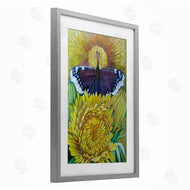 Violeta Vollmer | Butterfly & Yellow Chrysanthemums