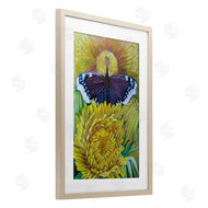 Violeta Vollmer | Butterfly & Yellow Chrysanthemums