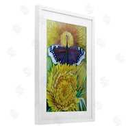 Violeta Vollmer | Butterfly & Yellow Chrysanthemums