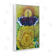 Violeta Vollmer | Butterfly & Yellow Chrysanthemums