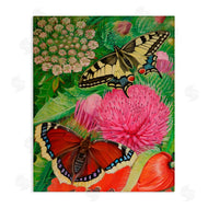 Violeta Vollmer | Insects & Garden Blooms