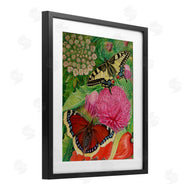 Violeta Vollmer | Insects & Garden Blooms
