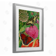 Violeta Vollmer | Insects & Garden Blooms