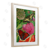Violeta Vollmer | Insects & Garden Blooms