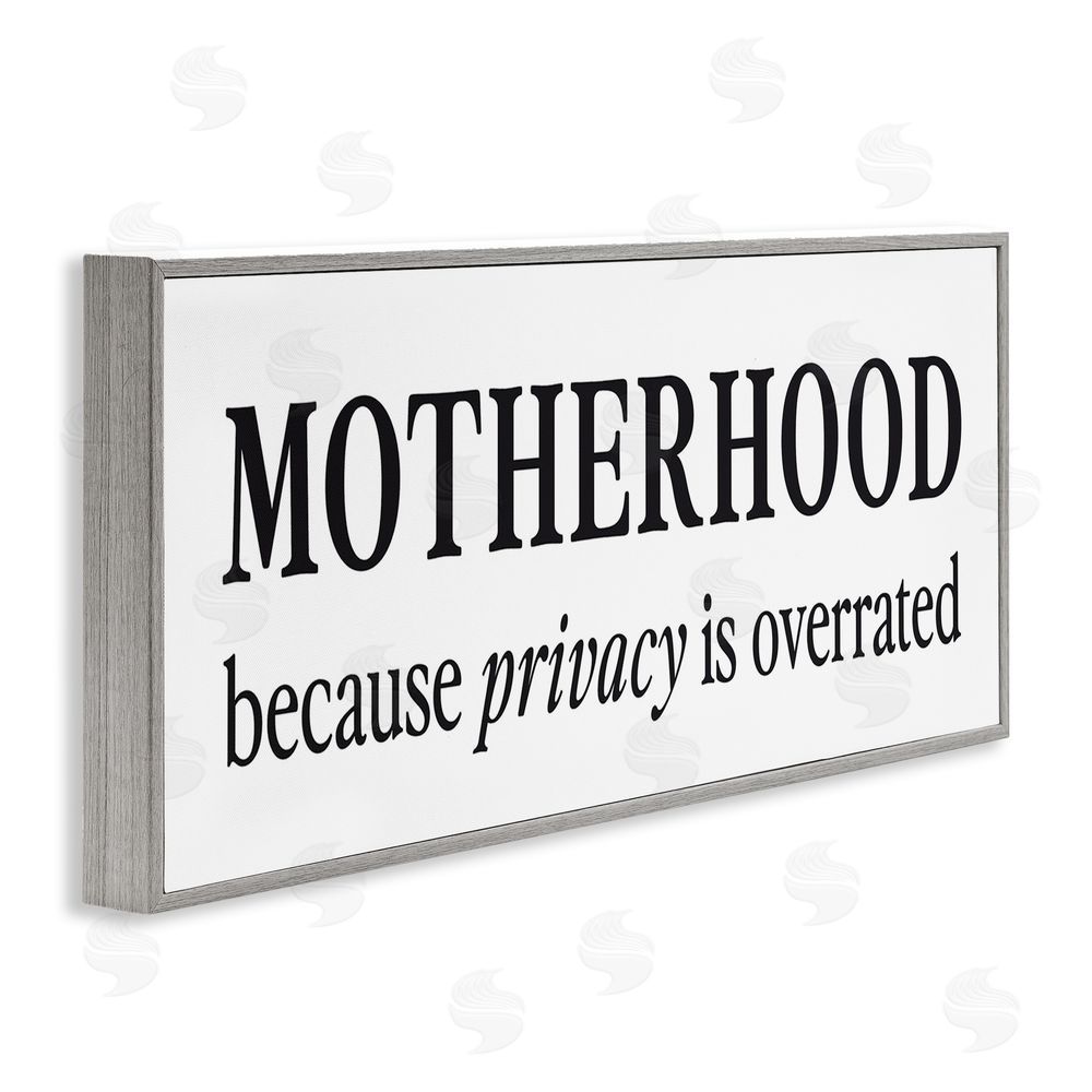 Lettered and Lined Privacy Overrated Motherhood Gray Framed Giclee Art Print