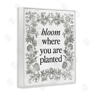 Lettered and Lined | Inspiring Bloom with Vintage Border