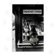 Annabelle Hall | Frenchie's Diner Window View
