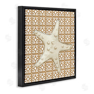 Lee Ann Sanders | Mediterranean Tile & Starfish