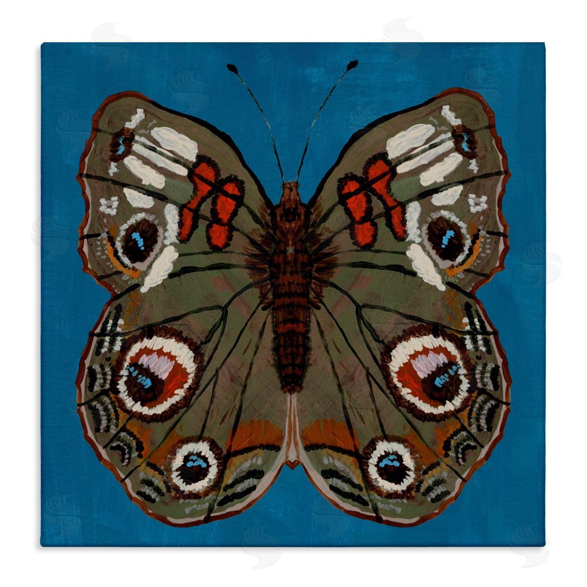 Kara Keller Designs Buckeye Butterfly Symmetry Canvas Wall Art Print