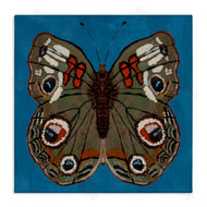 Kara Keller Designs | Buckeye Butterfly Symmetry