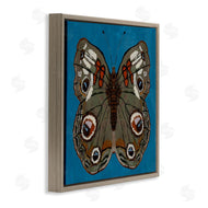 Kara Keller Designs | Buckeye Butterfly Symmetry