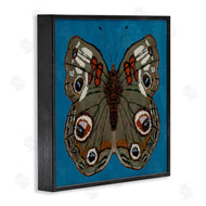 Kara Keller Designs | Buckeye Butterfly Symmetry