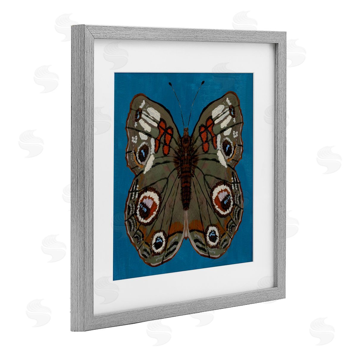 Kara Keller Designs Buckeye Butterfly Symmetry Gray Framed Print Under Glass Art